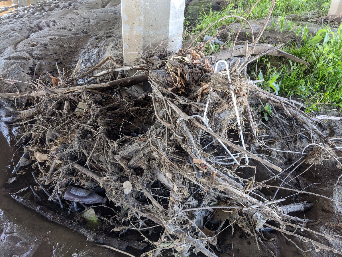 McNeishAqEcoLab's tweet photo. @McNeishAqEcoLab MS student @eco__amy's first field day collecting #Anthropogenic litter &amp; #microplastic data for her research! https://t.co/Li3BTPbis8