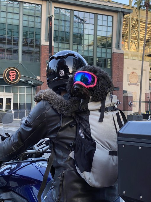 I like San Francisco. https://t.co/Z50JTd9dsd