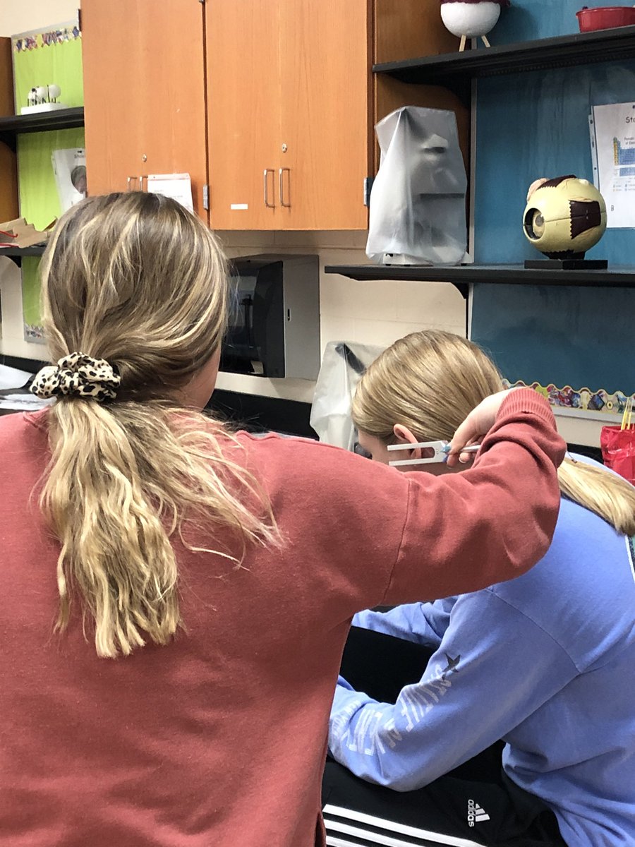 jochl's tweet photo. Medical Interventions students performed a variety of hearing tests.@wilmotuhs @PLTWorg #InspiredbyWilmot https://t.co/4DRWP7cN2r