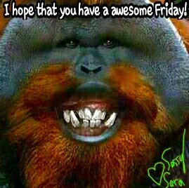 SassySarahere's tweet photo. Even the monkey is happy that it's Friday!π#friday #fridays #fridaymotivation #fridayinspiration #colorful #colorfulart #monkey #monkeysoftwitter #monkeys #monkeyface #ilovemonkeys #funny #laughablemoment #hilarious #lmao #humor #humorous #jokes #cute #happy #happiness #behappy https://t.co/Uk0OcwLWJi