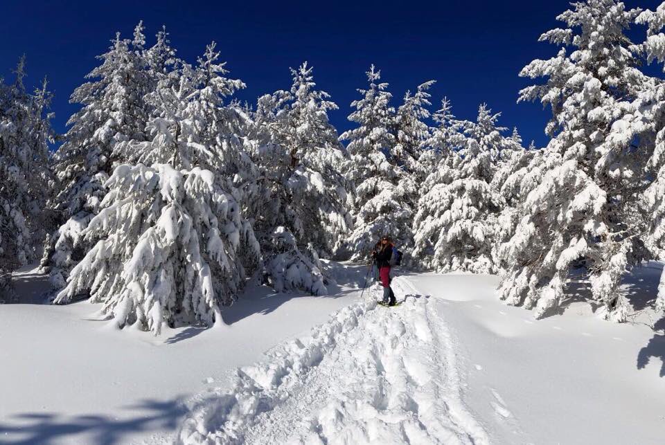 Mareruol's tweet photo. La magia nos rodea, solo hay que saber abrir la mente y saber ver. #montaña #nieve #disfrutar #vivirhoy #momento #deportealairelibre https://t.co/2BPFh80iII