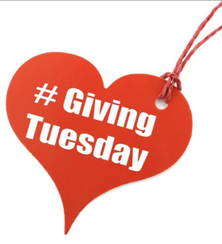 PTMS PTO (Helen Fort/Newcomb) tweet media