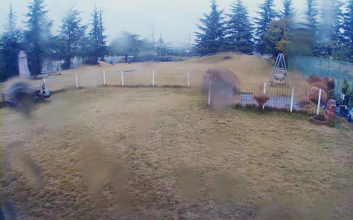 みんなのドッグラン 羽生牧場 公式 Na Twitteru おはようございます 昨日から雨が降り続いてて ランが水たまりが凄いんです 今日はお休みします 明日はいい天気になると良いな みんなのドッグラン 羽生牧場 公式 Na Twitteru おはようございます 昨日から雨が降り続いてて ランが水たまりが凄いんです 今日はお休みします 明日はいい天気になると良いな
