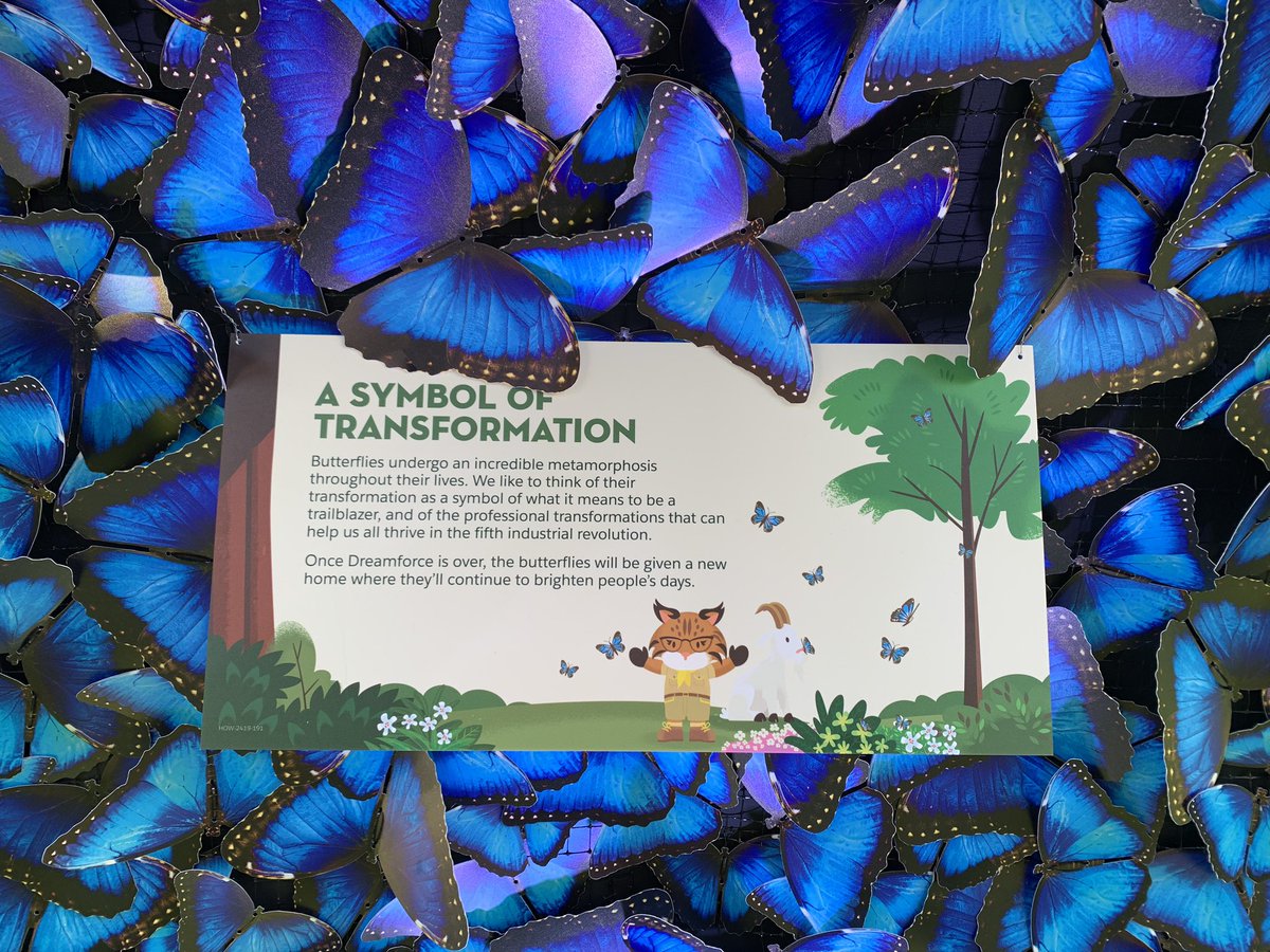 RecentPark's tweet photo. #DF19 finished. Learned a lot. Be impressed a lot. Have been happy a lot. I hope all of you will join #DF20. https://t.co/YpJA1JHKjL