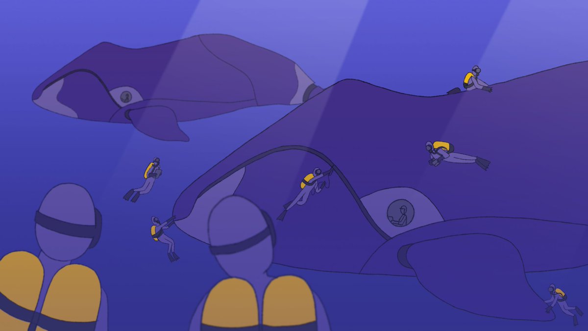 *Bonus Scenes* from Floreana