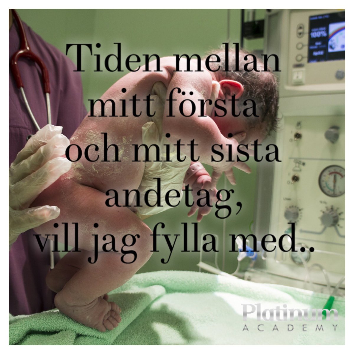 Har du formulerat för dig själv vad du vill ägna din avgränsade tid på planeten åt? Eller ”hamnar” du liksom bara i omständigheter, relationer, jobb och blir sedan kvar där av gammal vana?

Ödsla inte mer tid nu 🌱