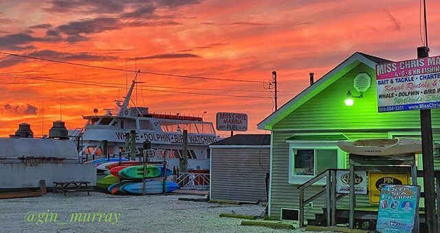 gin_murray's tweet photo. @mayerstavern had to catch #Bluebone playing tonight !! #CapeMay #CapeMayGinshots #CapeMayScene #NJ #NJwx #njphotographer #just_newjersey #sjshowus #6abcaction #jerseyshore #jerseycape #southjerseyadventures https://t.co/8z480qoYTM