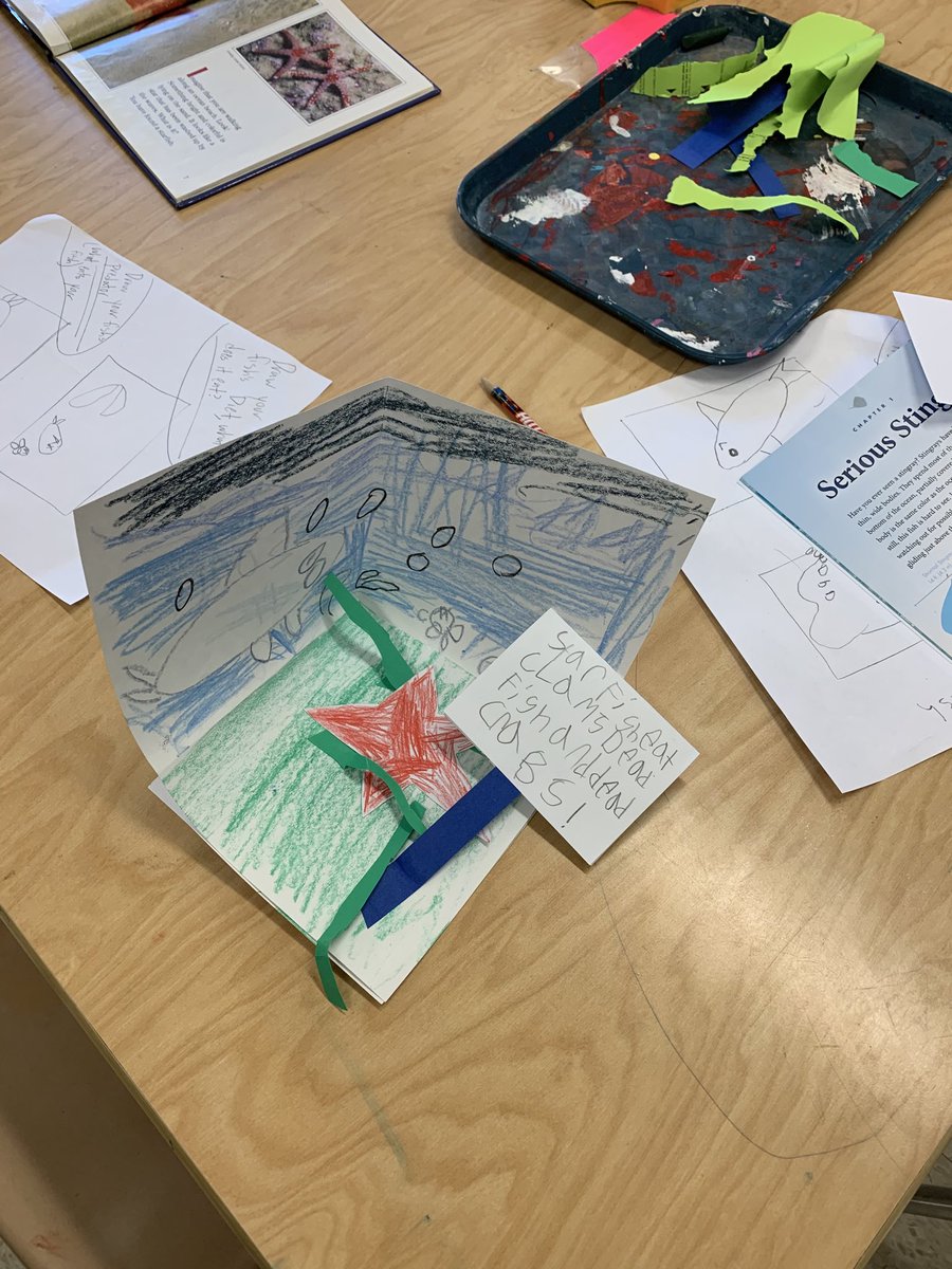 CrawfordFlavior's tweet photo. The work of my talented K-2 students in Wild Allies made dioramas for different types of fishes that we studied during Domains. ⁦@ParticipateLrng⁩ ⁦@PowellPTA⁩ ⁦@PowellesPLAY⁩ https://t.co/U3RkRCJw7P