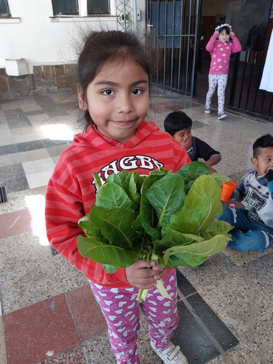 tilcasil's tweet photo. CAI 7 ESCUELA BOEDO 
#PolíticasSocioeducativas
@fguillesaavedra 
@patriciapinasco 
@YanilMarisol @AlancayDel https://t.co/73RT26zqra