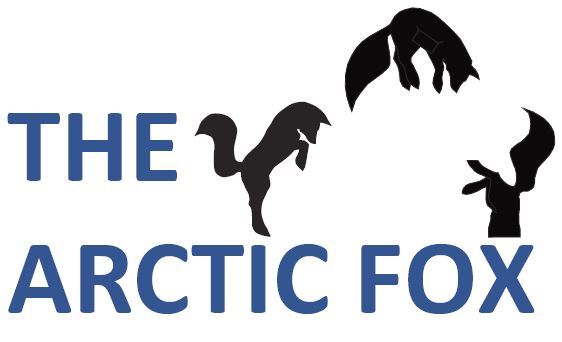 RBGCanada's tweet photo. we're two weeks out to #RBGwinterlights!

Along with 100,000 mini-lights, 200 theatrical LED fixtures, and 3000’ of hanging string lights, we're excited to welcome "The Arctic Fox," an art installation by Tanis MacArthur, with @CoBALTCONNECTS 

Learn more: https://t.co/4z7Olbm48H https://t.co/AhG1SifaSD