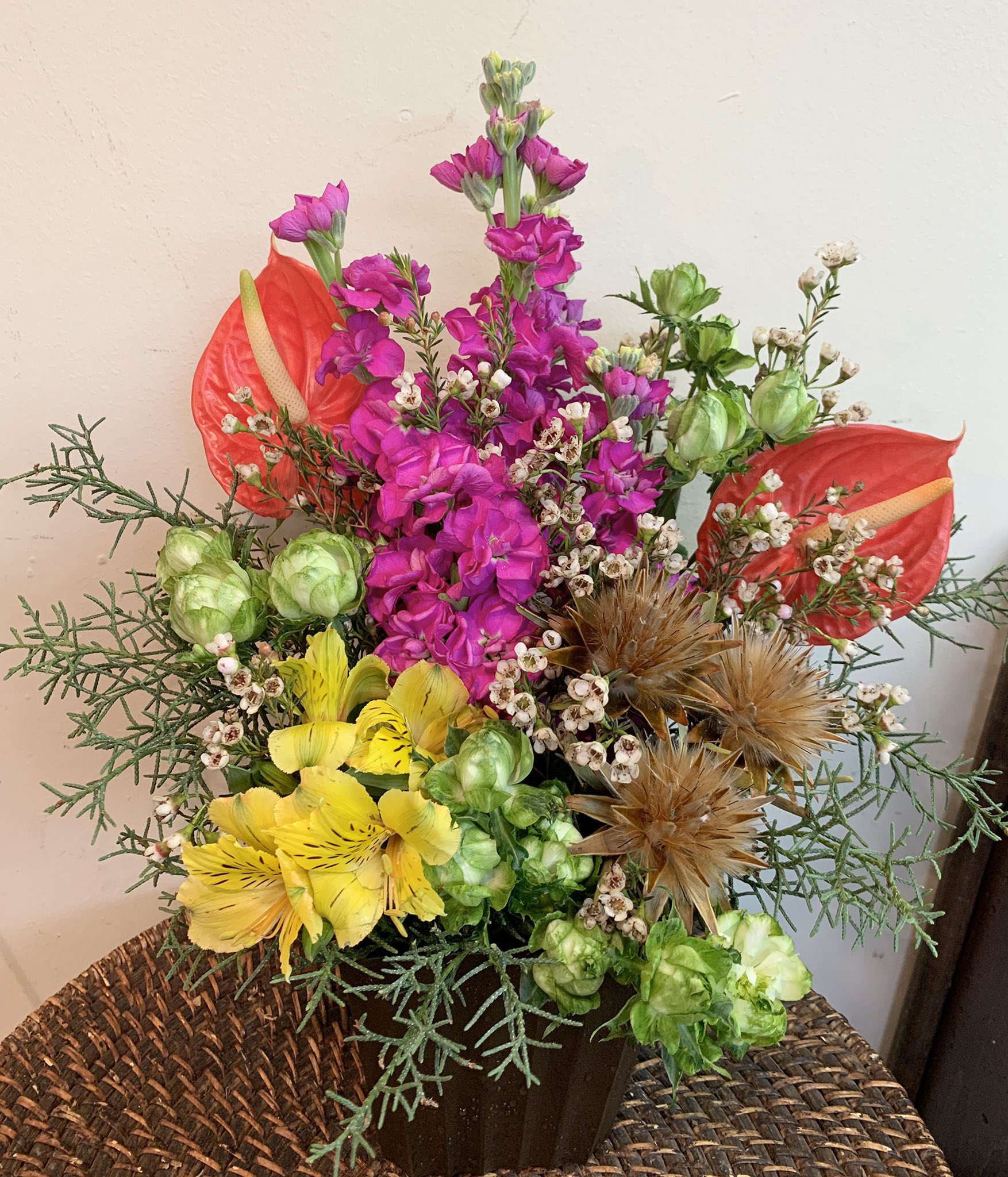 清花園 花屋 Seikaen24 Twitter