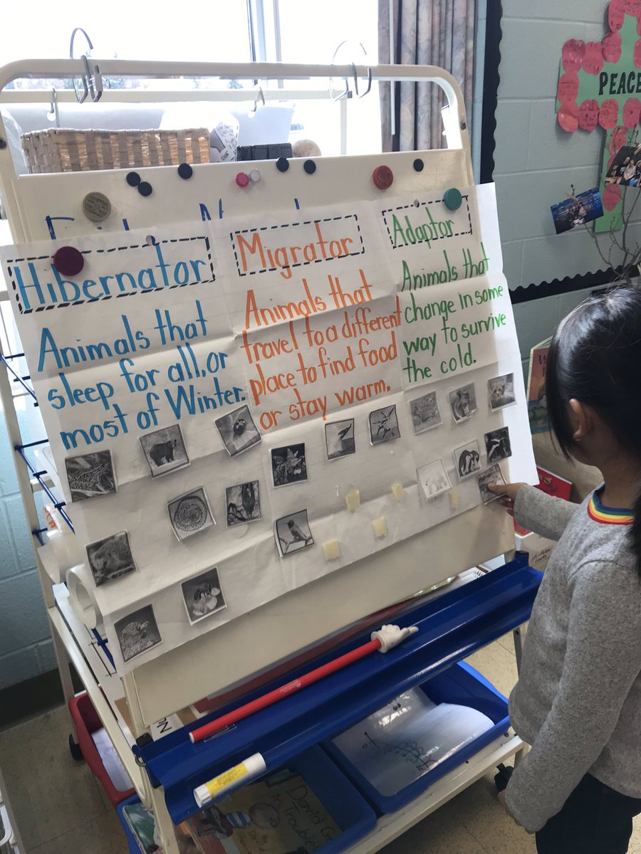 FDK101Valentine's tweet photo. Is your animal a Hibernator, Migrator or Adaptor in the Winter? Whole group sorting and then individual sorting work.  🐻🦅🐿 #AnimalsInWinter #SeasonalChanges @ValentineDPCDSB https://t.co/7Mw45YgA5j