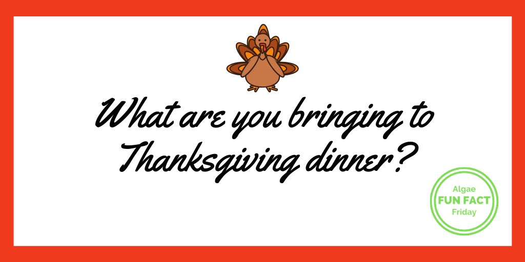 ATECalgae's tweet photo. Turkey, stuffing, cranberry sauce?

Did you know you could be bringing #algae to the Thanksgiving table? Check out some recipes using #algaeoil below! 

https://t.co/uErxgNfD1S 

#algaefunfactfriday #algaeatthetable https://t.co/TCUexV1zbo