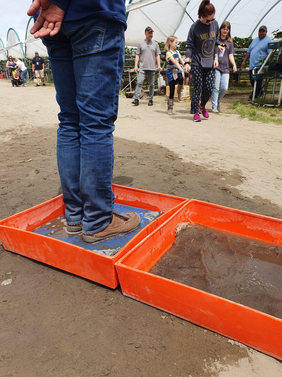 HortNZ's tweet photo. The sun has come out for the Horowhenua Taste Trail today!
Some great fruit and veg producers have opened their doors to the public with lots to see and eat.
Make sure to use available biosecurity footbaths to keep shoes clean and prevent spreading soil diseases.
#htt2019 https://t.co/FidWNNmgw8
