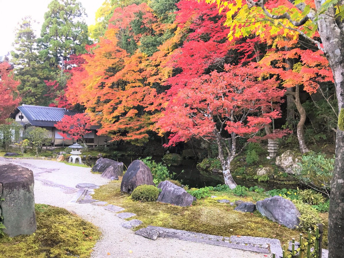 ট ইট র 南禅寺 11 23 土 の南禅寺方丈庭園内の様子です 枯山水 で有名なお庭ですが 奥には苔も豊かなお庭が広がっています 山側に植えられた紅葉も鮮やかな色になりました 南禅寺 方丈庭園 枯山水 紅葉19 京都 見頃です