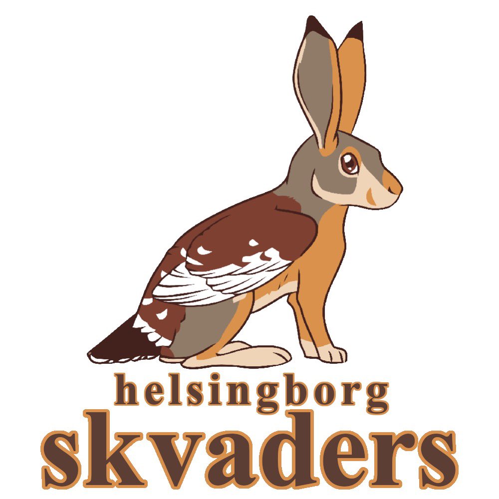 Helsingborg Skvaders tweet media