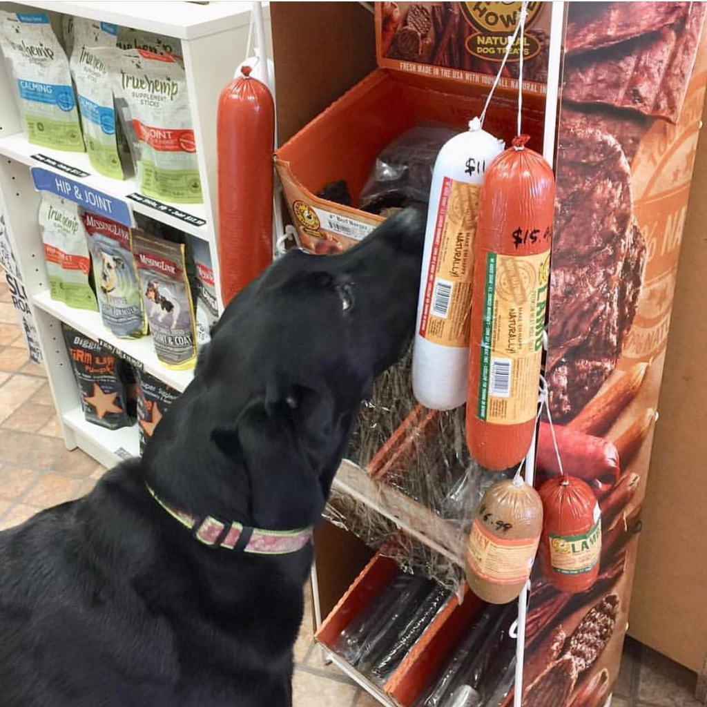 HappyHowiesInc's tweet photo. #repost “Seriously? Real meat sausages?” One happy shopper 🐶😋😋😋

#jackboydogbakery #jackboyexperience #happyhowies #happyhowie #ilovemydog #ilovemydogs #ilovemydoggy #ispoilmydog #ispoilmydogs #spoilrottendog #doglover #doglife🐾  ( #📷 @jackboydogbakery ) #friyay https://t.co/2H4IqQw7V5