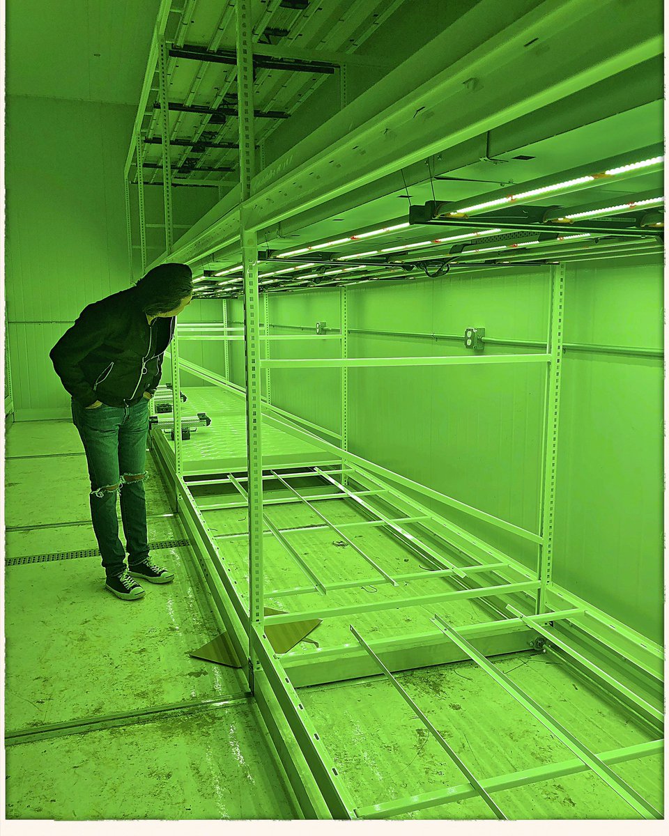 RoccoLaudizio's tweet photo. Working a little green this week with the Factory Project. Just love the technology here on site! 💚🌳®️ #love #designjunkie #interiordesign #interiors
#plants #green #herb #architecture #led #architects #designers #cool #amazing #work #swag #me #team @slickdesignusa https://t.co/xsy6DVM61o