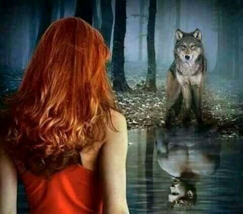 angyelima055's tweet photo. Saber que estás
Aúnque sea en la distancia me basta
Para intentar enamórarte con un beso y entregarte toda mi locura .... https://t.co/sYEAeFvGCb
