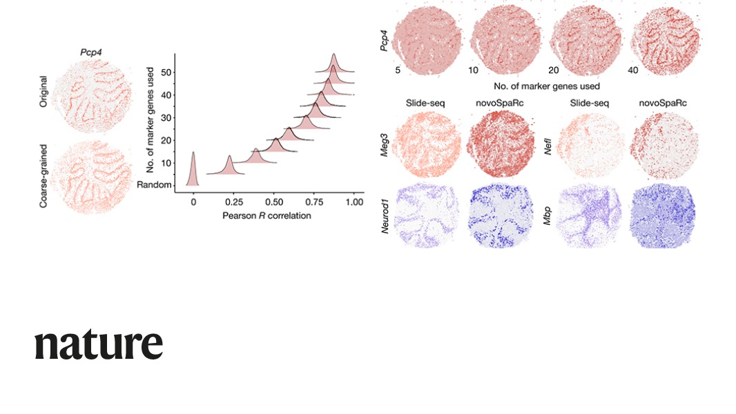 NaturePortfolio's tweet photo. A Nature paper reports an algorithm to create a spatial map of gene expression for individual cells in very different tissue types ranging from the liver and intestinal epithelium of mammals to the embryos of fruit flies and zebrafish. https://t.co/cXGpqUpP87 https://t.co/tS1ZmIIJrr