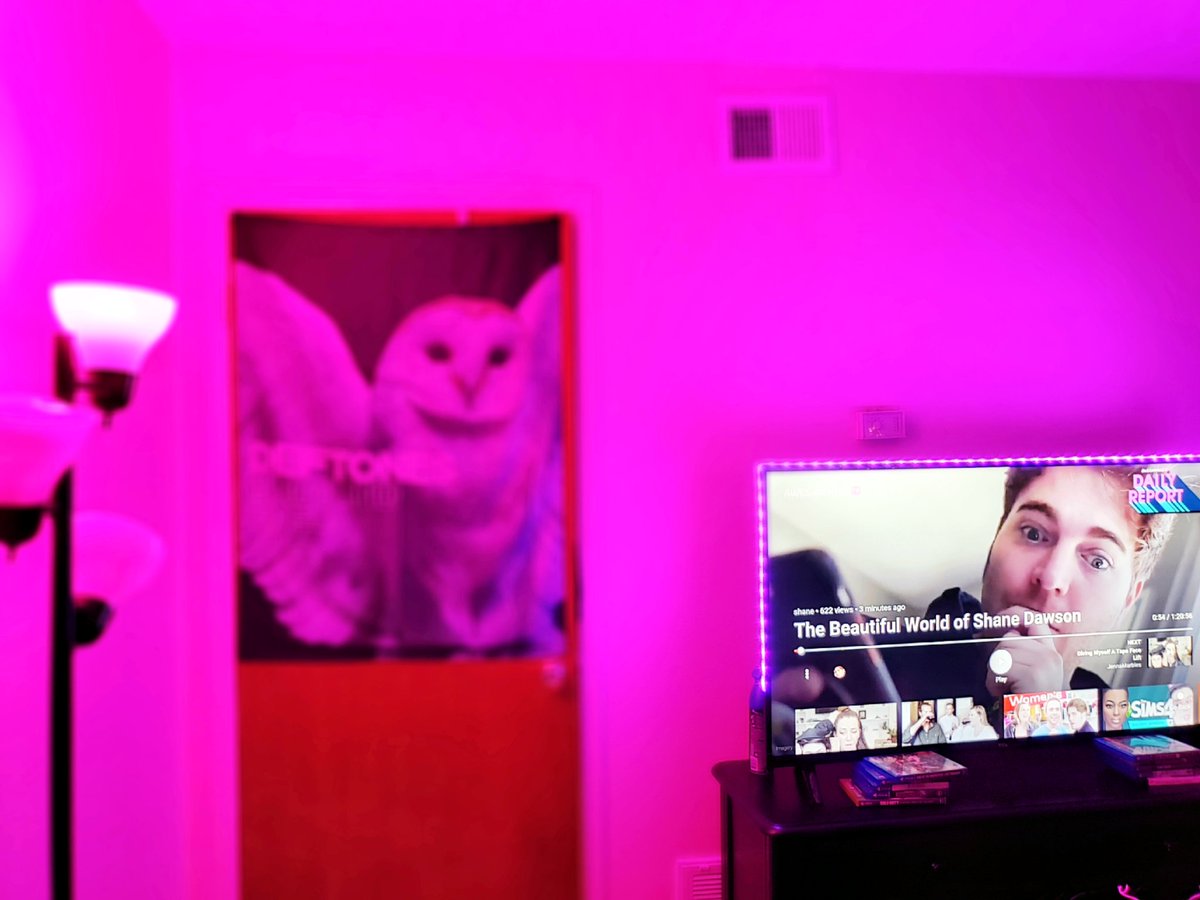 live2create13's tweet image. Best believe I'm watching it. Got mood lighting and all. @shanedawson @JeffreeStar