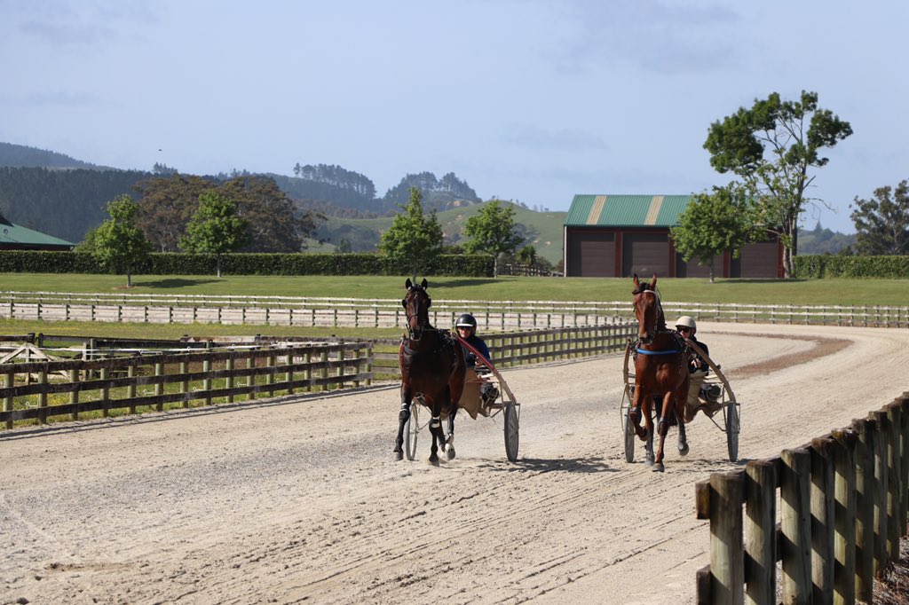 Charlotte Mooney tweet media