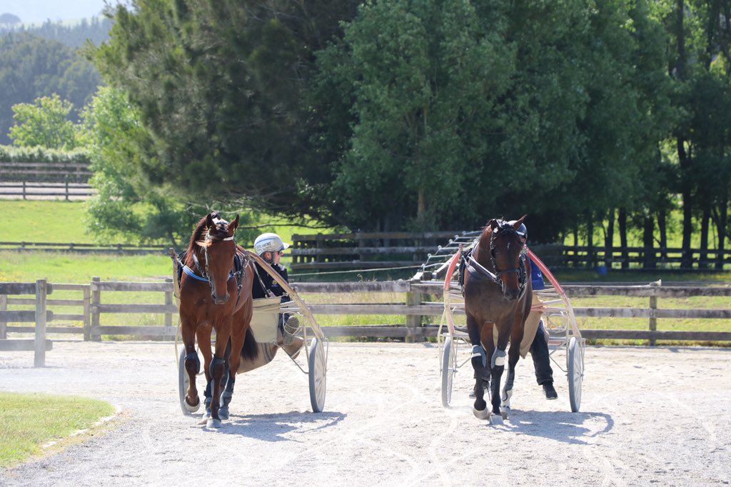 Charlotte Mooney tweet media