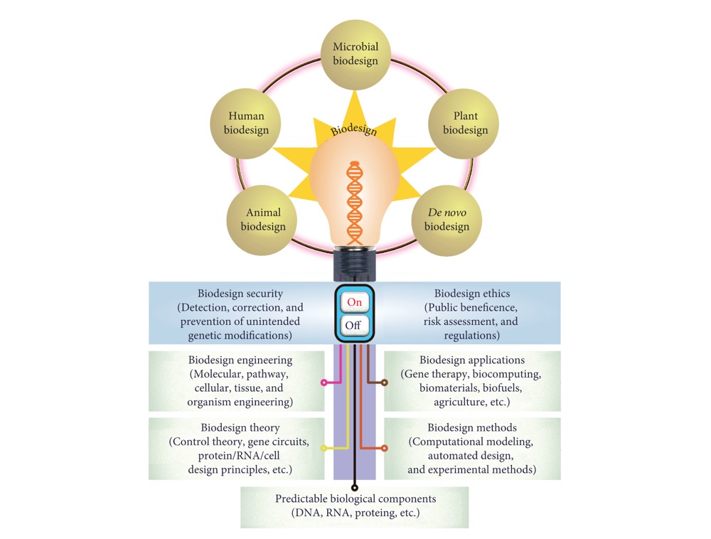 Editorial | Biodesign Research to Advance the Principles and ...
