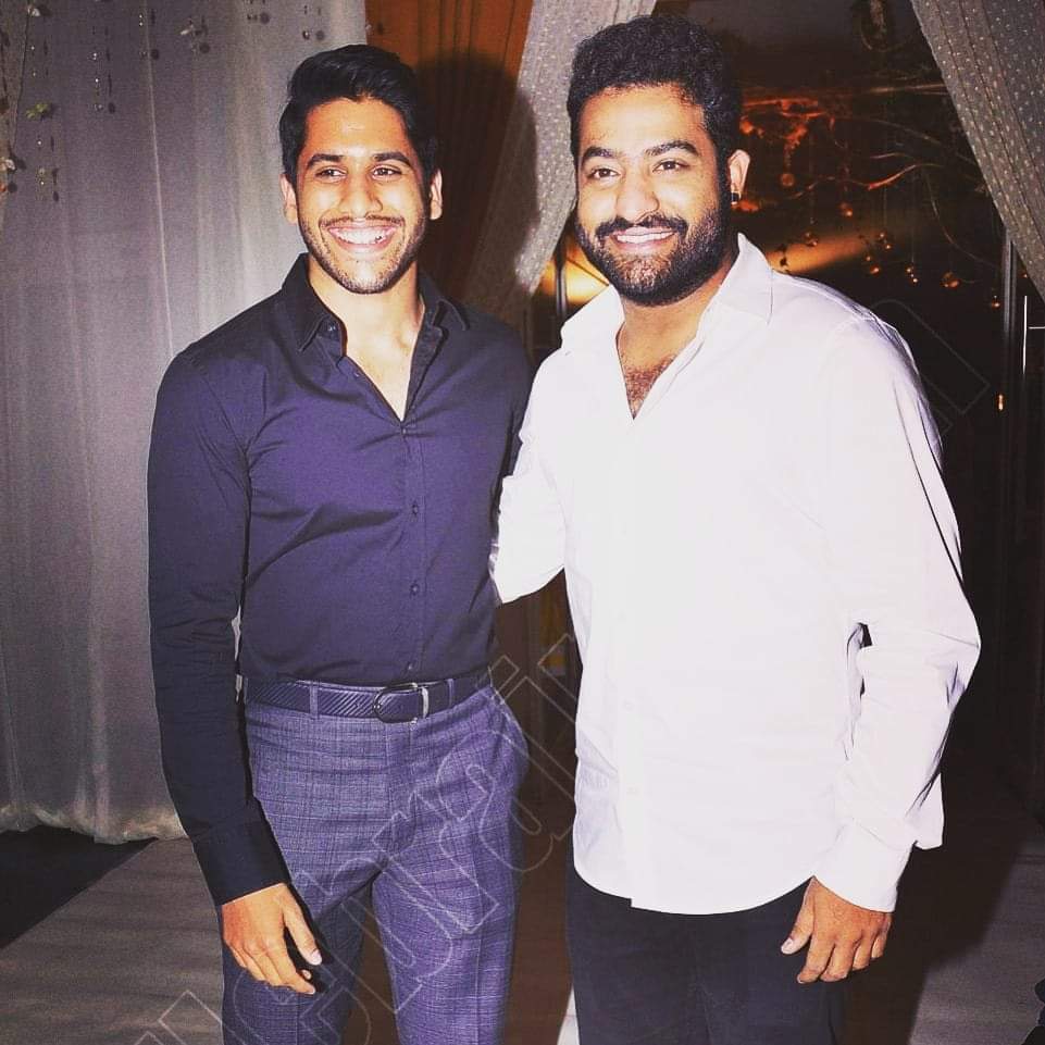 Happy 
      Birthday    Akkineni  
 Naga chaitanya from young tiger ntr fans 