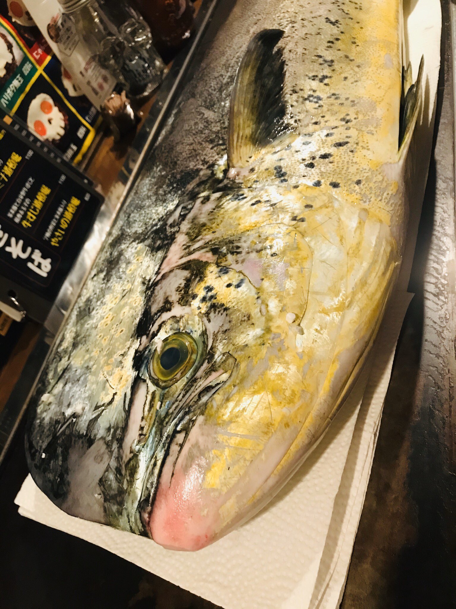Tako Show 月曜日定休日 第二 第三火曜日は休業日 マヒマヒ シイラ 入荷してます 刺身 もちもちやのにコリッ 鯛みたい 塩焼き ムニエルでどーぞ おこのみやき たこやき おおさか マヒマヒ シイラ T Co Sipxqdtuzz