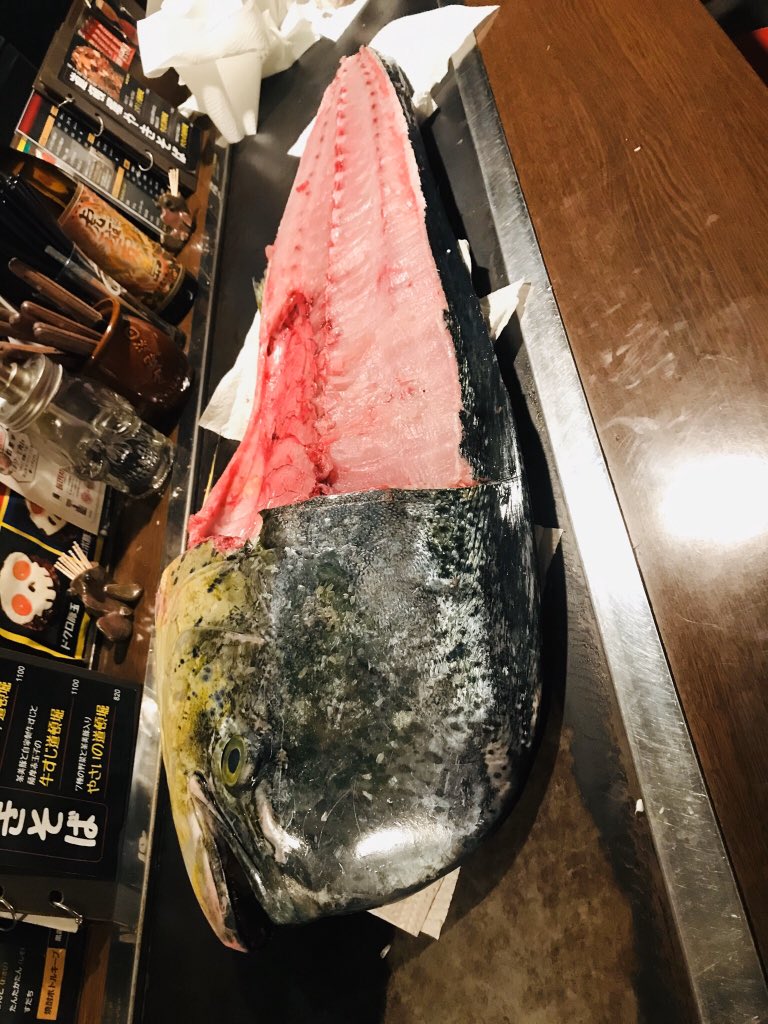 元のマヒマヒ 刺身 すべての魚の画像 元のマヒマヒ 刺身 すべての魚の画像