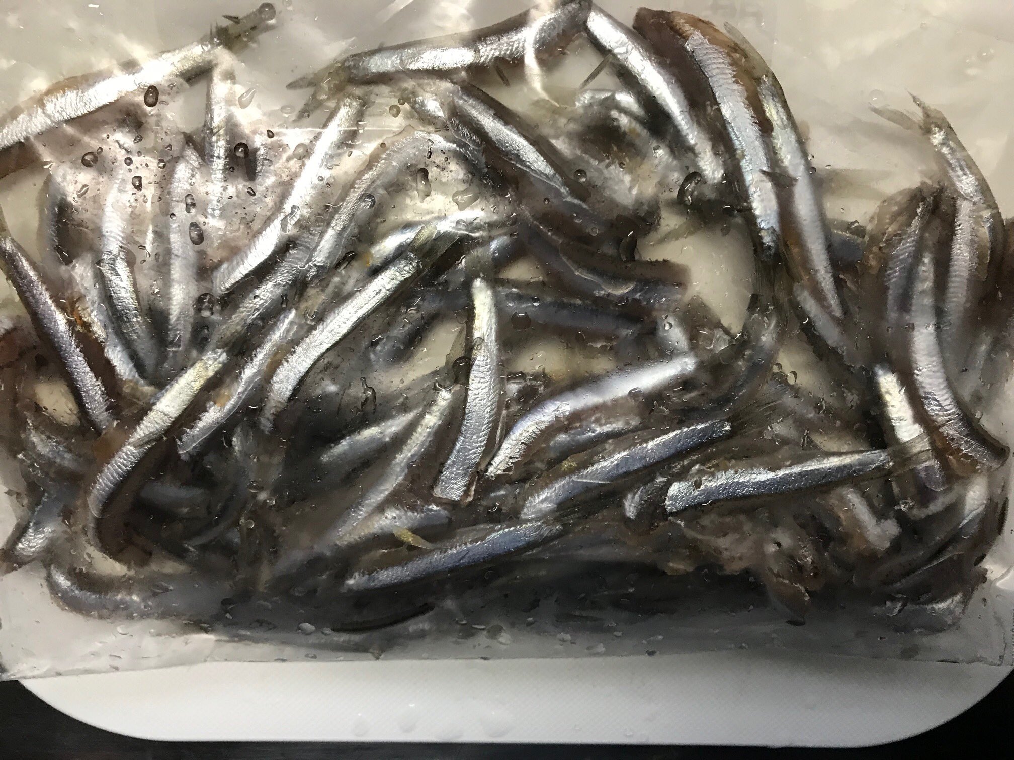 はやと はやとちゃんねる 豊洲で釣ったイワシ 冷凍しといてよかった 腐る程 釣れるけど これが一番美味しい これホントのホント 豊洲ぐるり公園 豊洲 イワシ カタクチイワシ ウルメイワシ サビキ釣り サビキ 天ぷら ご馳走 料理