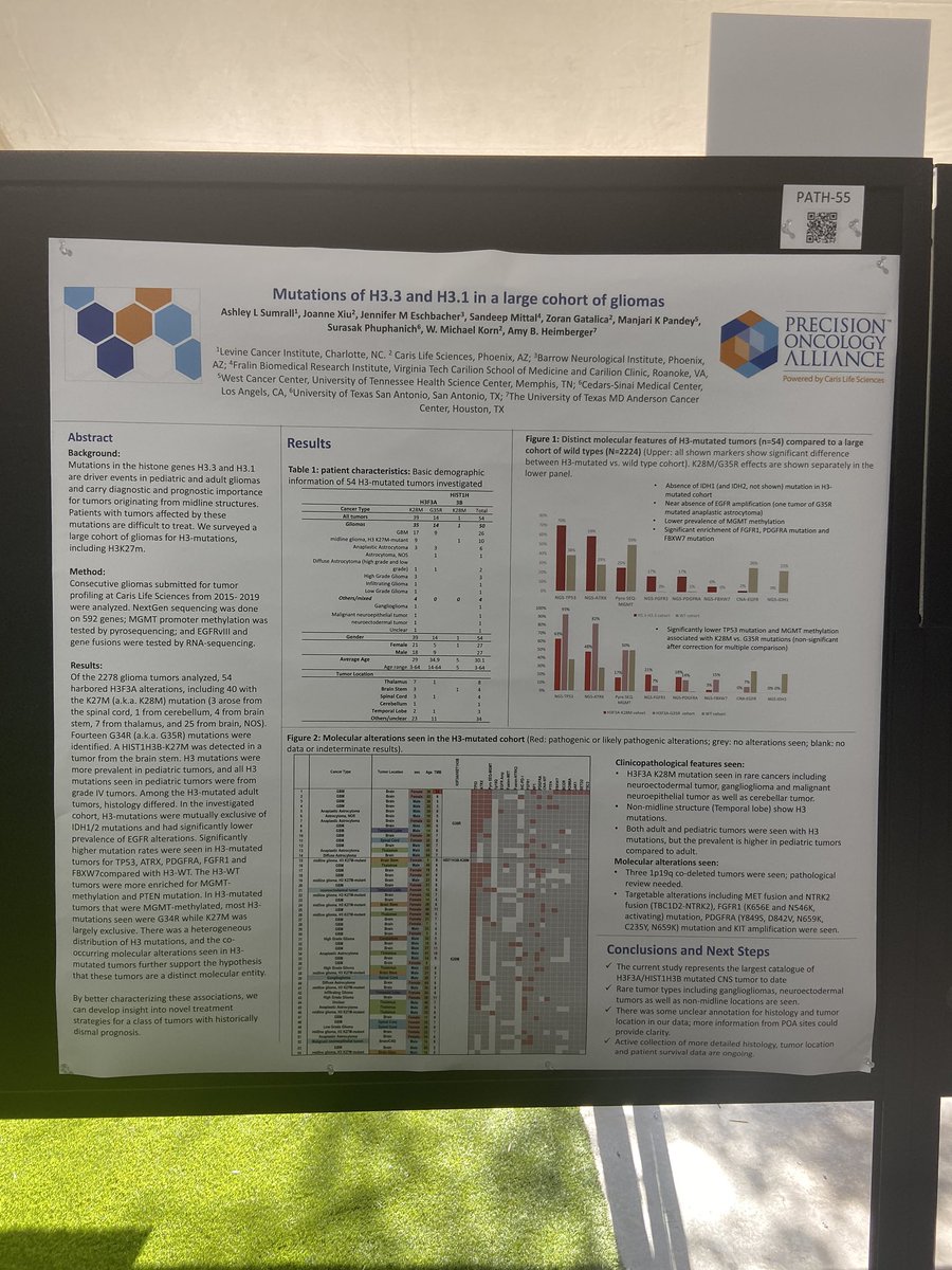 Given that this dz is so interesting to me, I approached  @carisls about reviewing these cases. This led to the poster that I’m presenting tonight. With the help of some very talented colleagues through the  @caris POA, we present the biggest list of  #H3 mutated brain tumors.