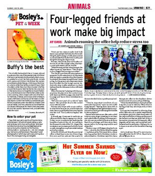 CattleDogLady's tweet photo. @jodyvance Hi Jody, I’m so terribly sorry to hear about Fenway. This is a poor screenshot but I thought it would bring comfort to you. You shared his story with me almost 10 years ago. https://t.co/g0nLp70pwL
