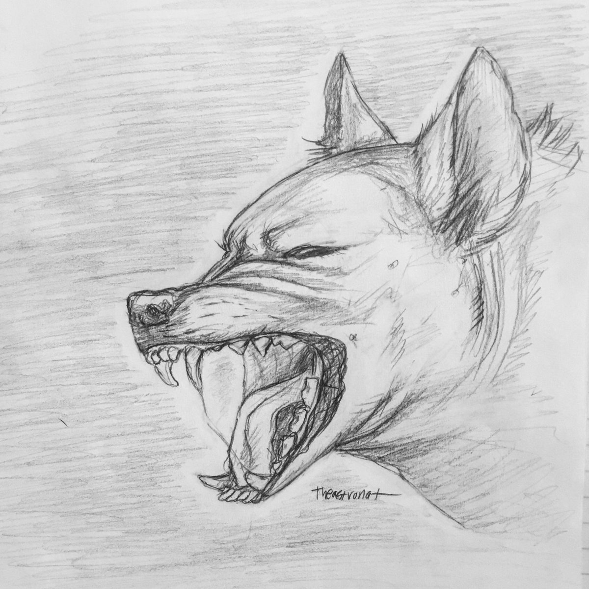 The_Astro_not's tweet photo. You know, some days you just..
.
.
#art #hyena #sketch https://t.co/s53OhFoUGA