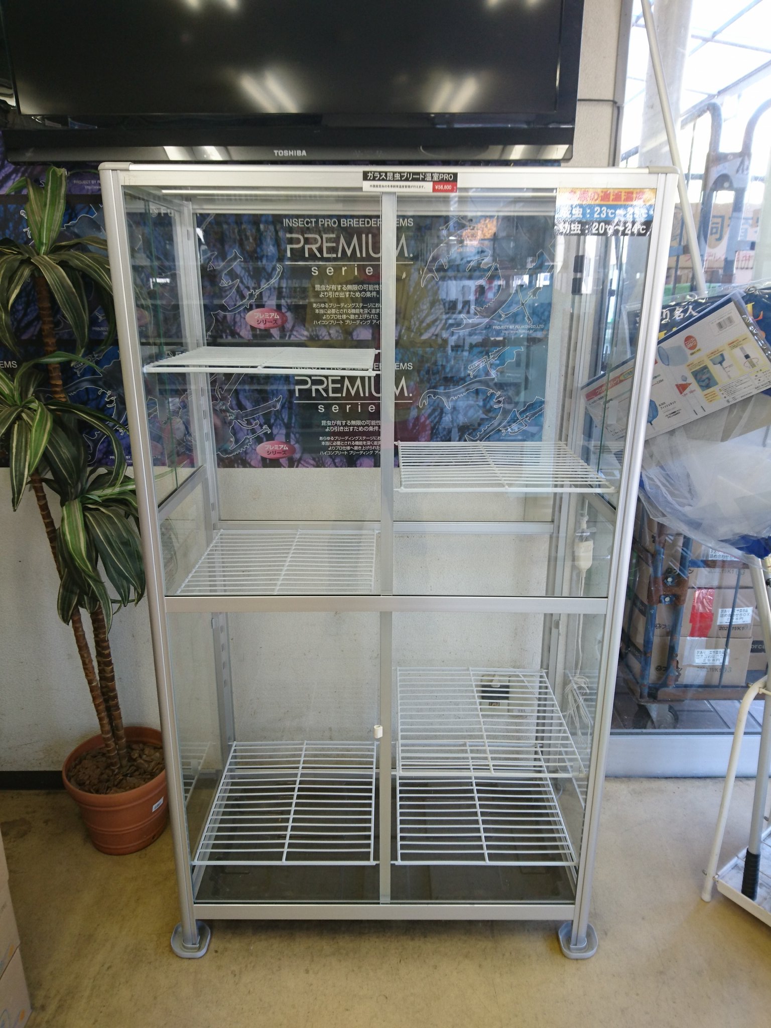 フジコン 長らくお待たせしました ショップにてガラス温室が発売開始しました 価格は 56 800円です 2セット在庫あります T Co Yqtbdnfn Twitter