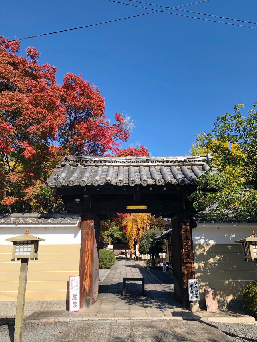 ヒポポタマス ハナコ そうなんですよ 撮影できたら撮ってスマホの待ち受けにしたいイケ観音様でした 不動明王パイセンいいですよね 推しの一柱です あと迦楼羅王もめっちゃかっこいいですよ