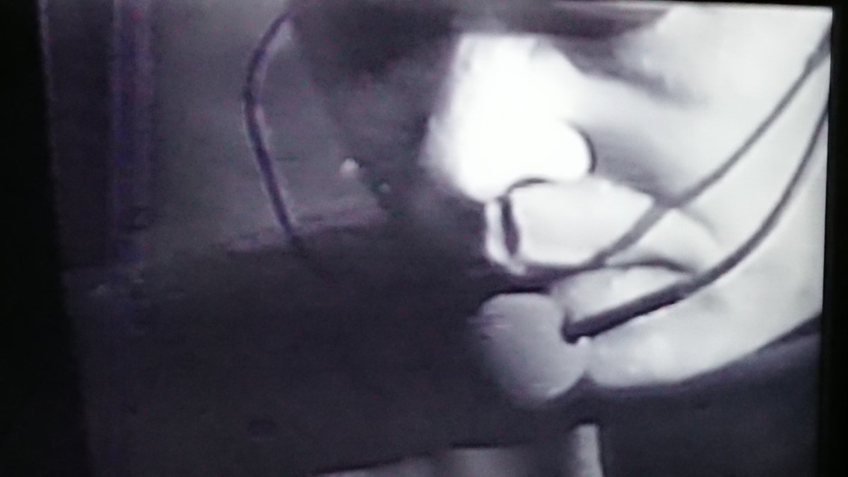 P_MODELworkshop's tweet image. ただいま『平沢三幕三時間』鑑賞中。
最高です……