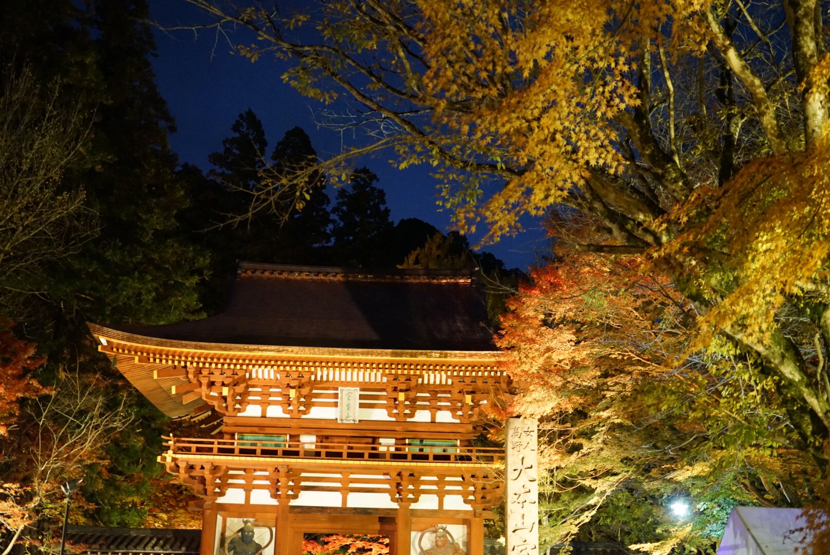 تويتر ならかんチャンネル 奈良観光紹介 على تويتر 本日は室生寺の夜間ライトアップ と龍隠れの里に眠る秘宝イベントに来てます 紅葉も綺麗だしライトアップも幻想的です 室生寺 龍隠れの里に眠る秘宝 紅葉 もみじ モミジ ライトアップ 夜間拝観 奈良 奈良