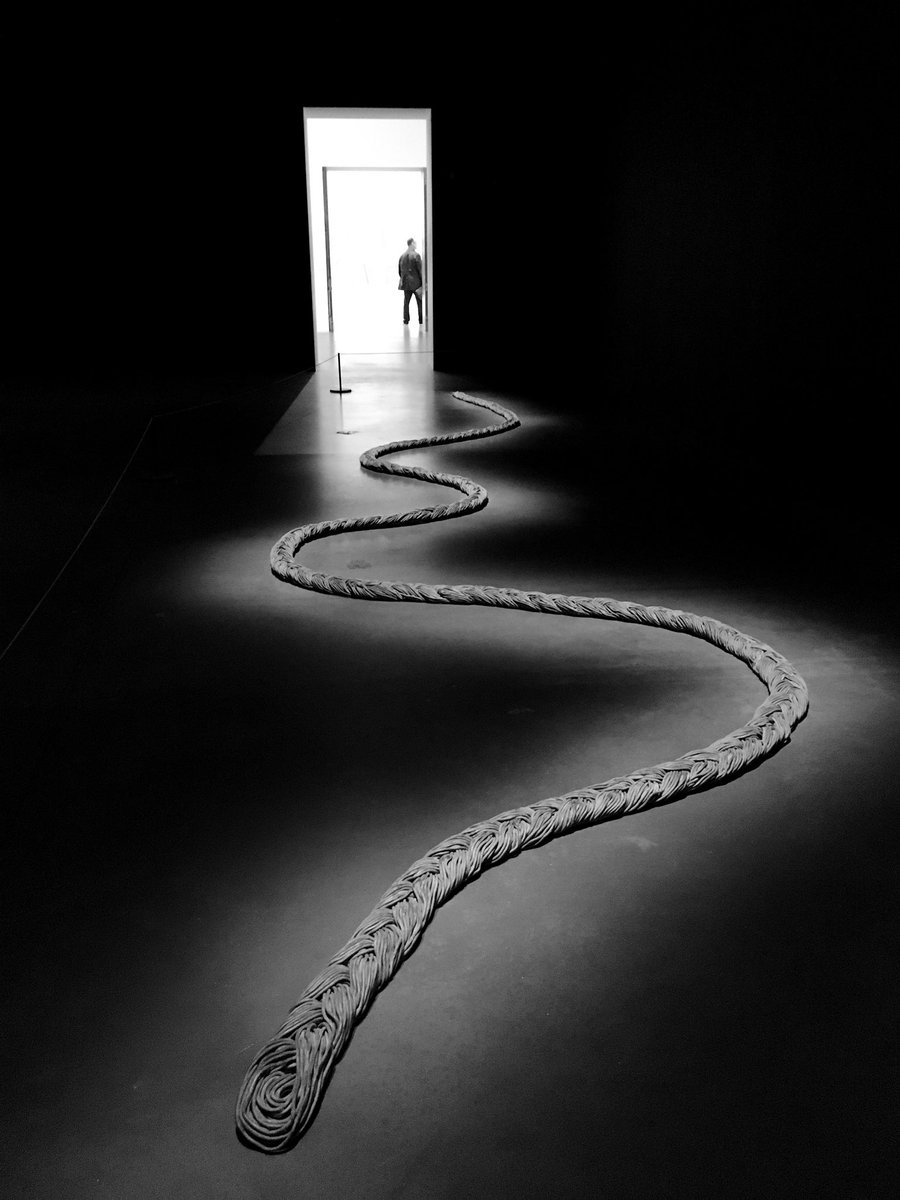 lizzieeverard's tweet photo. #NovemberHope 23: Hang in there. Any path worth it’s salt has a few twists and turns. https://t.co/oqDReuvgoJ