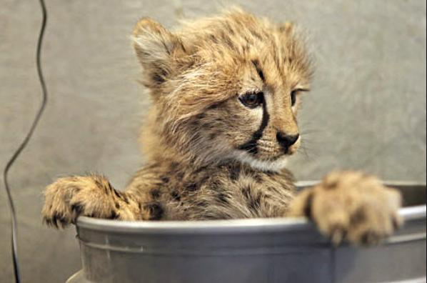 Heavy night? Don't feel like cooking today? We're open at 12 see you soon