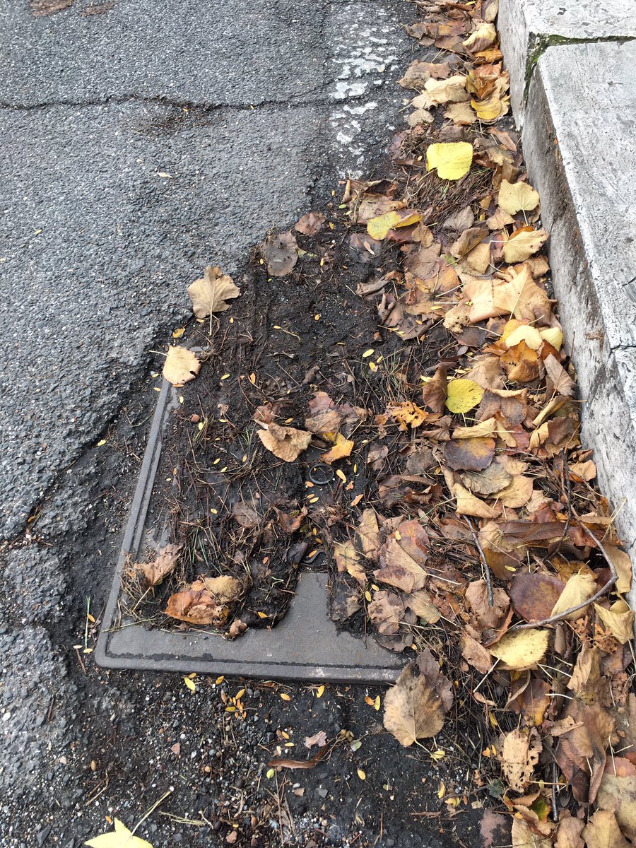 emicalamita's tweet photo. Cara la mia #nonsindaca @virginiaraggi  ce la facciamo a far intervenire l’@amaromacapitale su #vialecittadeuropa a liberare i tombini?O aspettiamo le prossime piogge e conseguenti allagamenti?Lo chiedo anche ai campioni del @M5SRoma9 #vergogna https://t.co/bknD7eSUdt