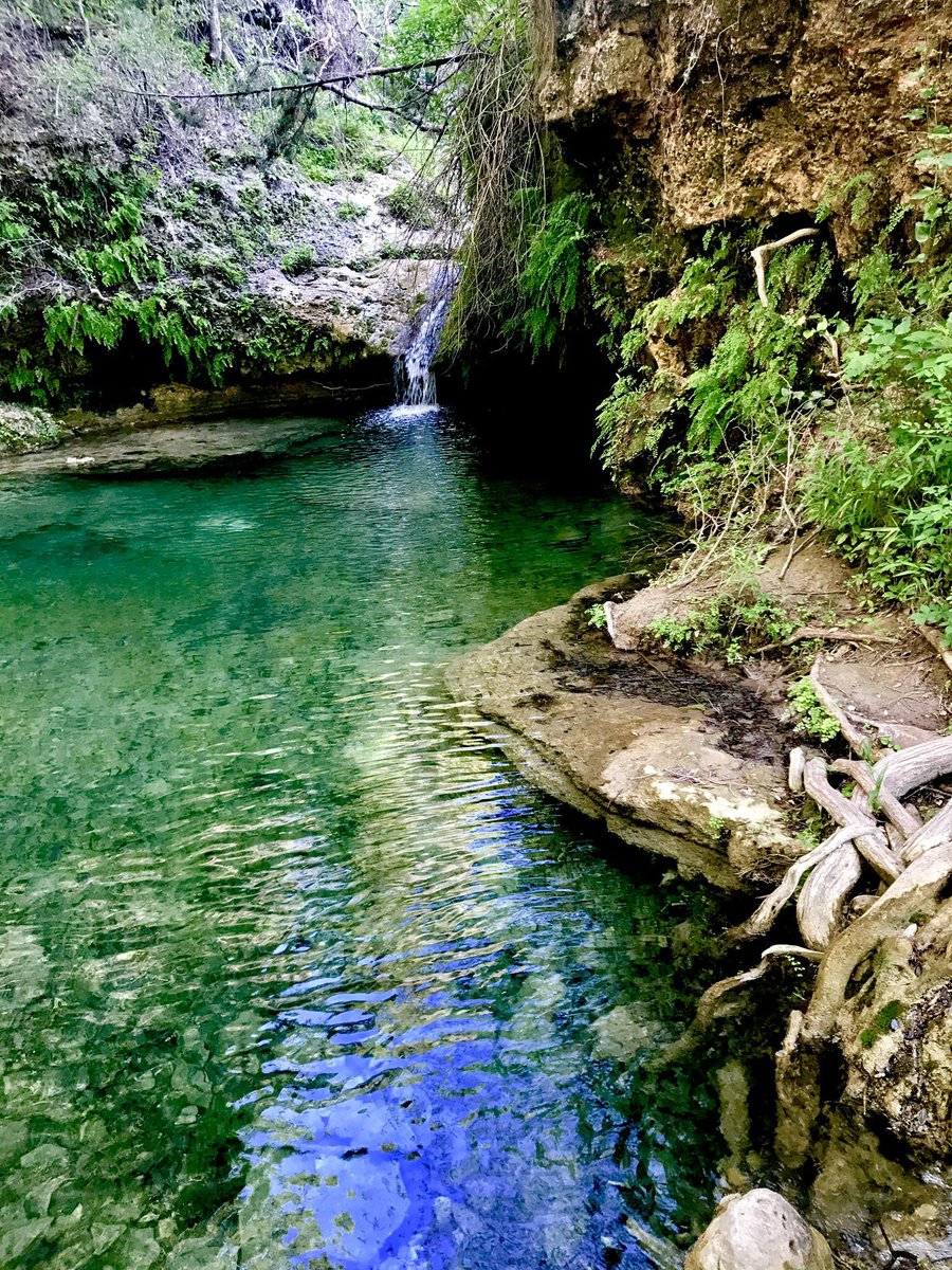 gorgeous_pix's tweet image. "A hidden pool off of the trail at Pedernales Falls State Park in Johnson City, TX. From u/allyntown on Reddit #pedernalesfallsstatepark #johnsoncity #hiddenpool #tx #trail"