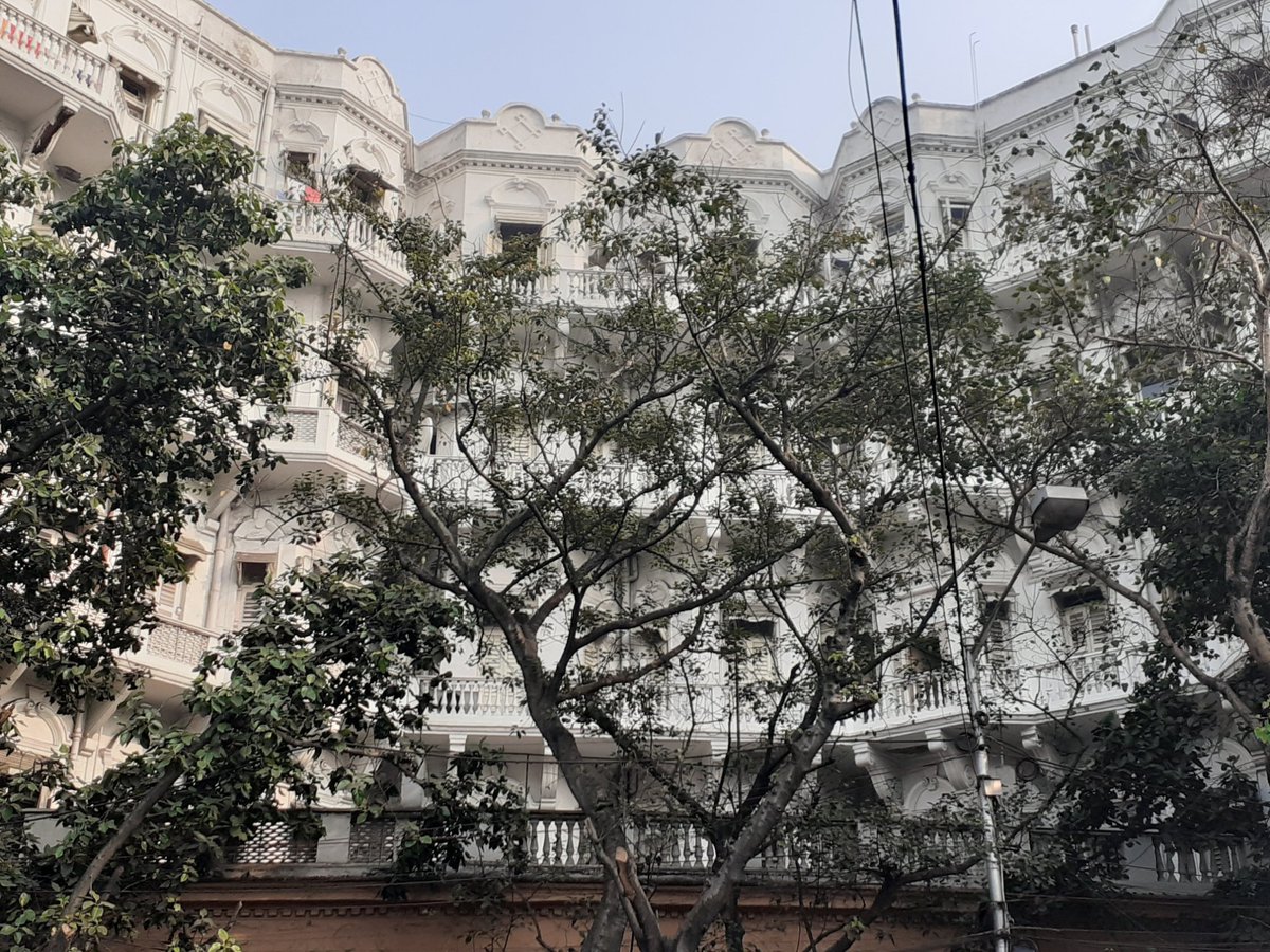 Several years ago, across governor's house, my companion from a balcony on this house (back when it was still a lavish appartment) watched the city breatheHe heard the whip of water against dusty roads, the groan and jingle of trams go by, the "AY SHON!" of faceless passers-by.