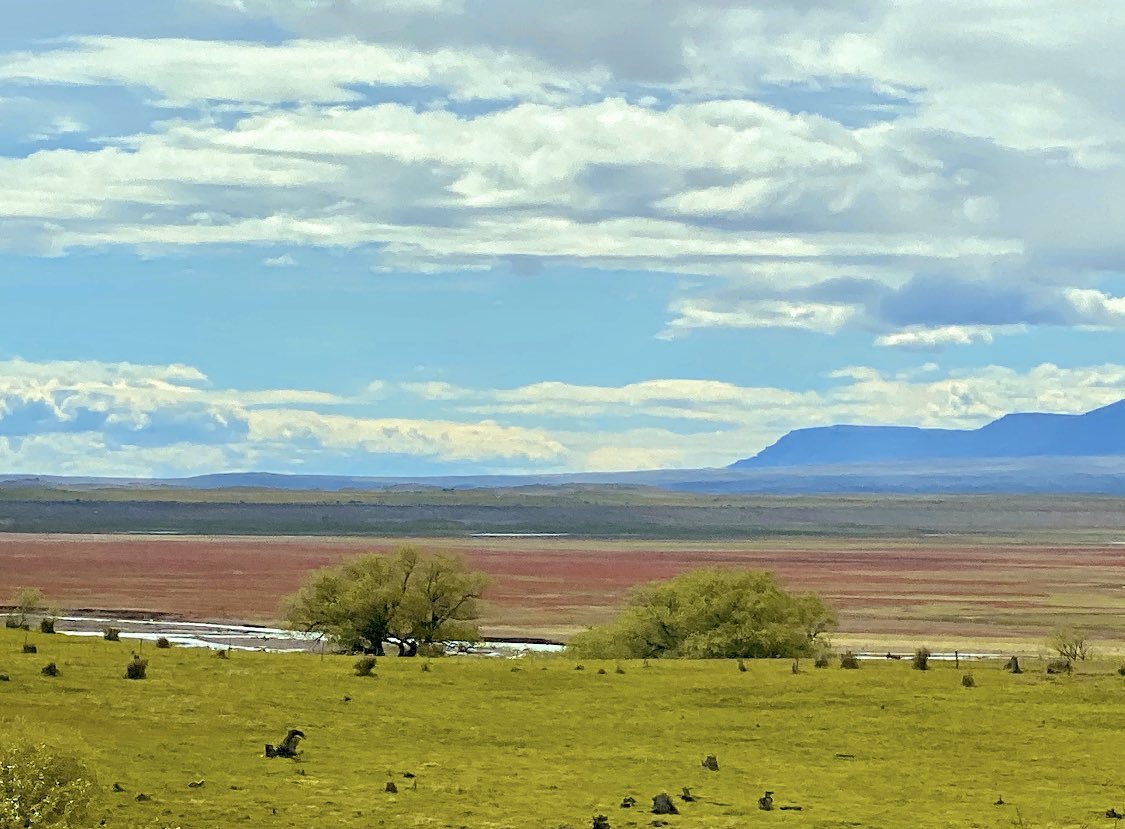 TW Pornstars - 1 pic. Mike Angelo. Twitter. Argentina Patagonia @AngelEmilyxxxx 😉. 5:06 AM - 23