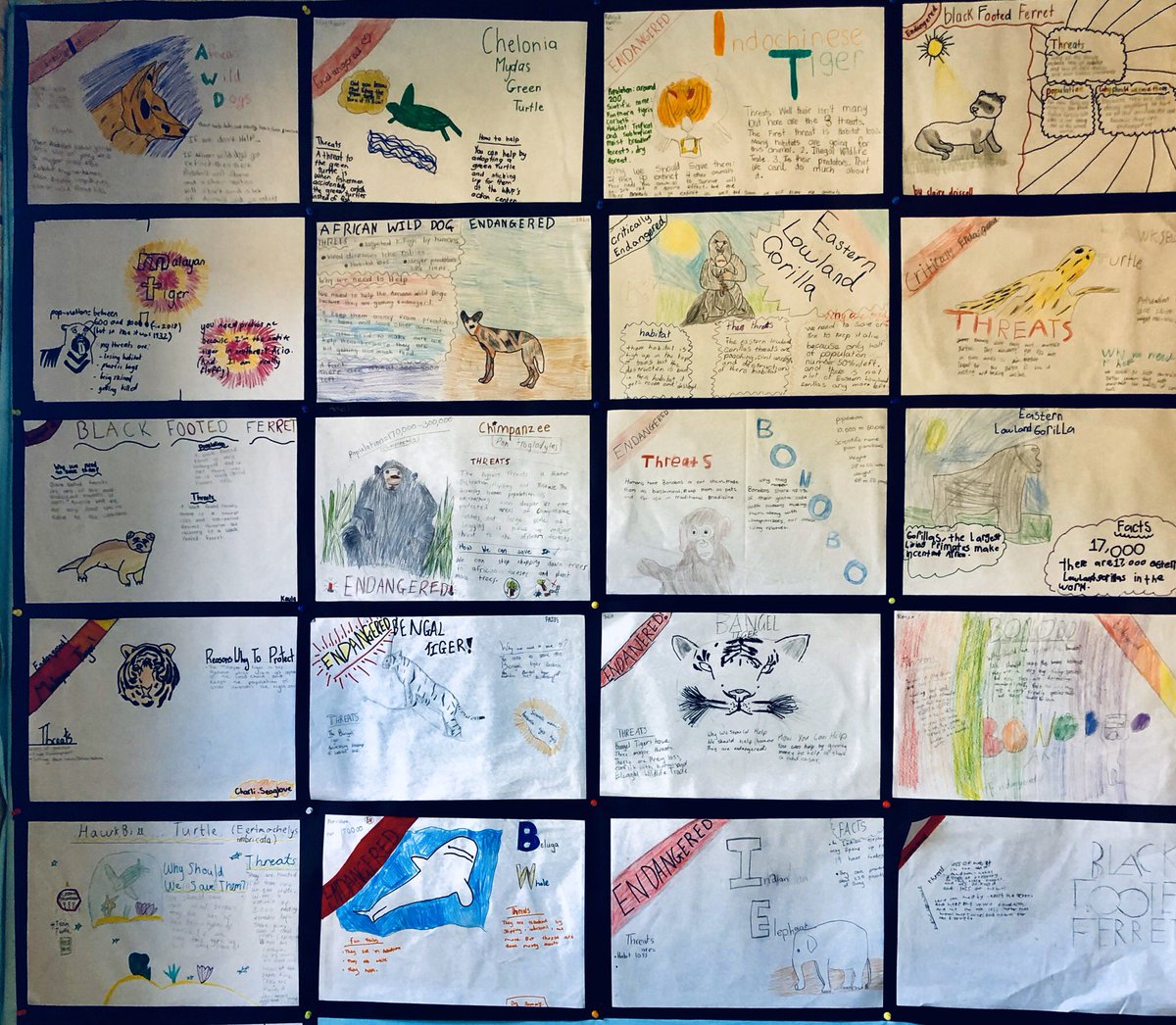 Catherine Doyle tweet media