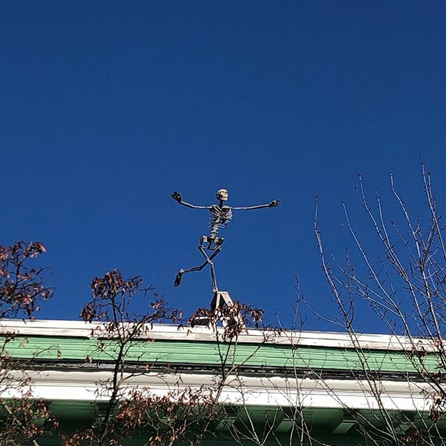 Leap and the net will appear. If not, die a slow death always contemplating, wondering?, what could’ve been. Thank you Portland (specifically Alberta Street) for reminding us to keep pushing. LEAPING! We are ALL in folks and thank you for supporting this… ift.tt/2Db9Ysi