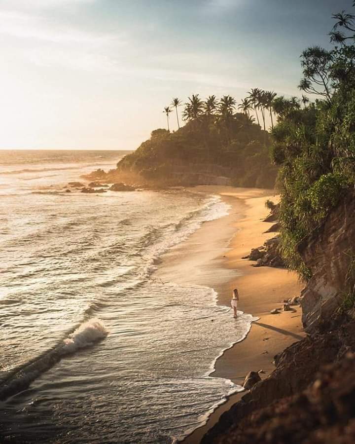 CenterLanka's tweet photo. Let's have a Virtual tour in Sri Lanka,  one of greeniest countries on earth,with its authentic beauty from Sandy sunny beaches to misty central Highlands. Remember that Sri Lanka is one of Countries with the higest density of waterfalls in the world.#travel #traveltosrilanka https://t.co/ycmgBA6eXS