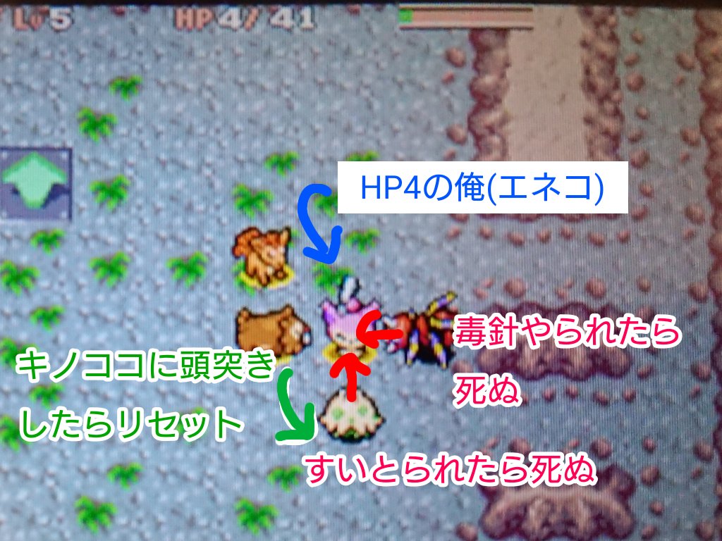 適当適所 えっこの状態からでも入れる保険があるんですか この絶望的なまでの詰み状況を たった一つの技 で切り抜ける だと ポケダン空 経験値0縛り