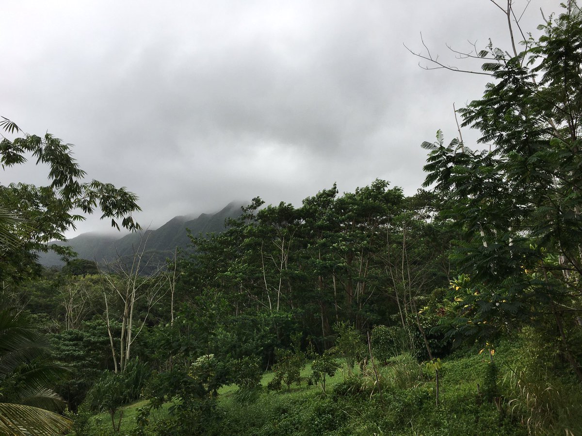 WaiaholeEl's tweet photo. Our students in our 21st Century Afterschool Program took a walk into Waiāhole Valley to make some observations at the Reppun ‘Ohana’s farm! Exciting things are happening! #waiaholees #smallschoolbigheart #smallschoolsmatter #smallschoolvoice #backyardlearning #HA https://t.co/dZyC25JmXl